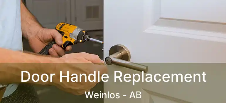  Door Handle Replacement Weinlos - AB