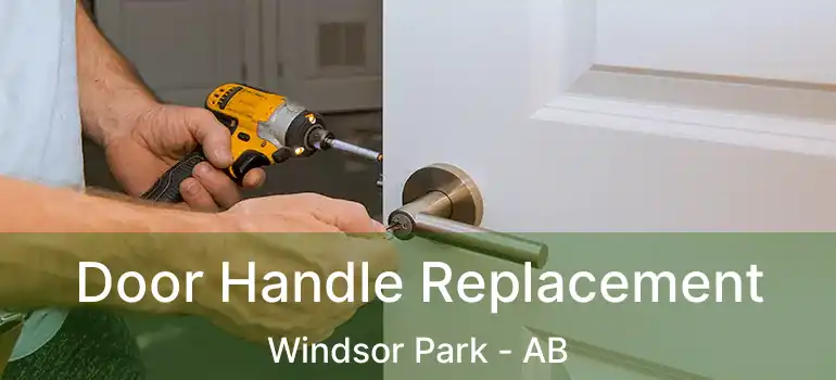  Door Handle Replacement Windsor Park - AB
