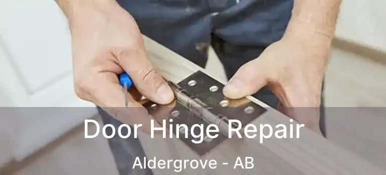  Door Hinge Repair Aldergrove - AB