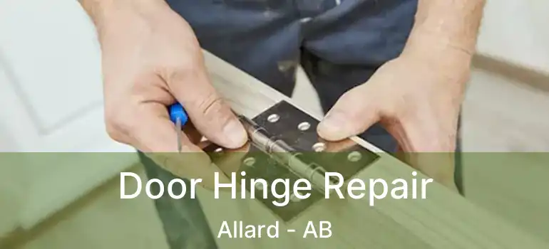  Door Hinge Repair Allard - AB