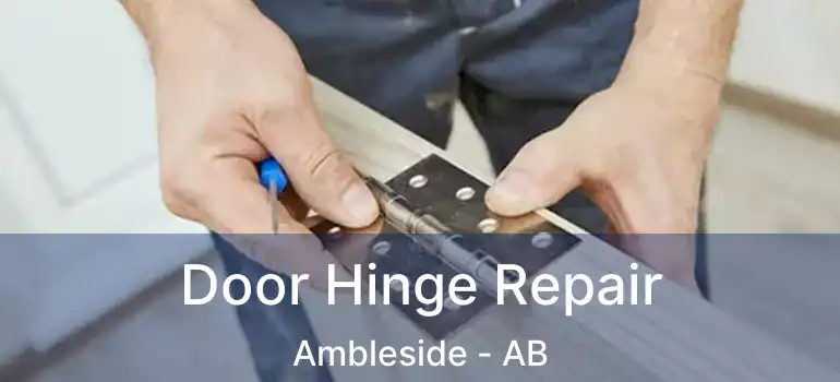  Door Hinge Repair Ambleside - AB
