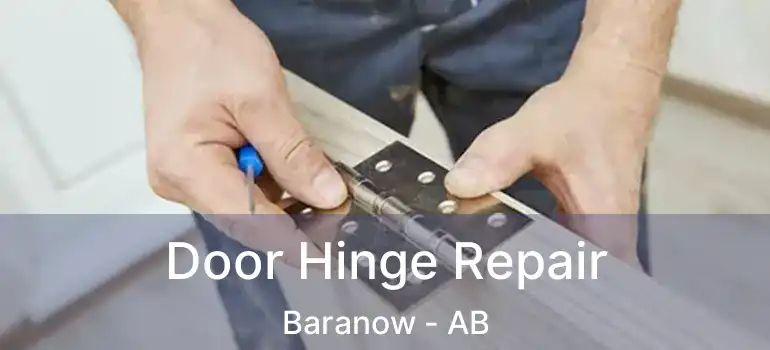  Door Hinge Repair Baranow - AB