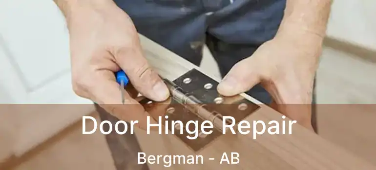  Door Hinge Repair Bergman - AB