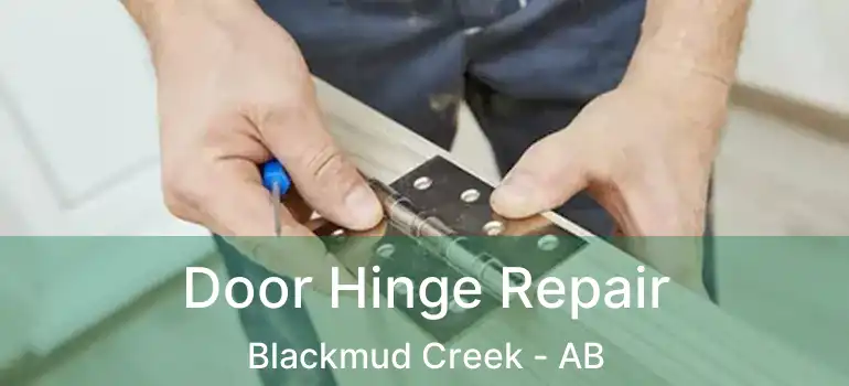  Door Hinge Repair Blackmud Creek - AB