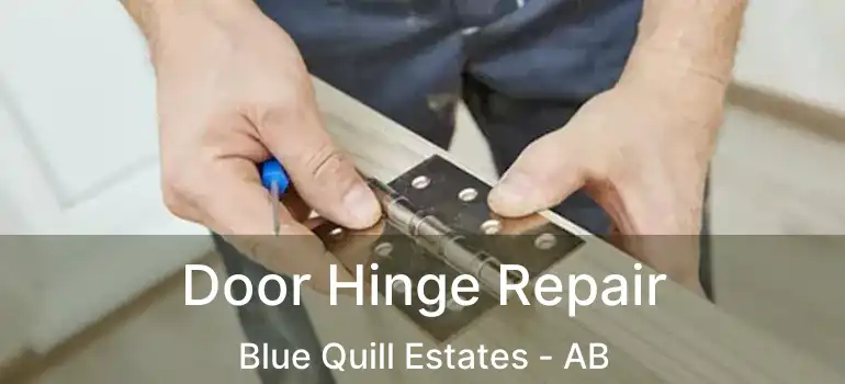  Door Hinge Repair Blue Quill Estates - AB