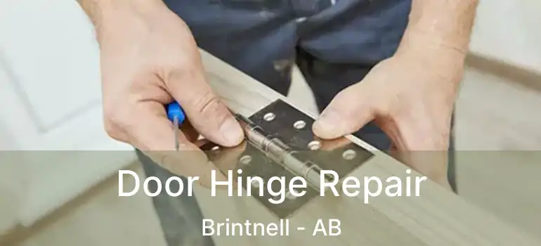  Door Hinge Repair Brintnell - AB