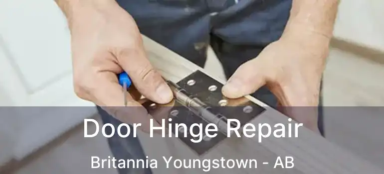  Door Hinge Repair Britannia Youngstown - AB