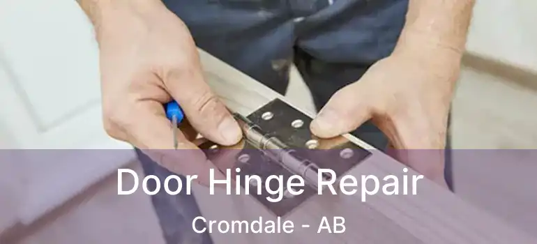  Door Hinge Repair Cromdale - AB