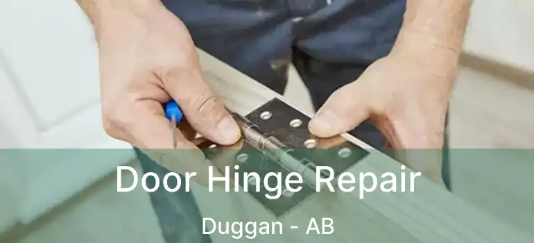  Door Hinge Repair Duggan - AB