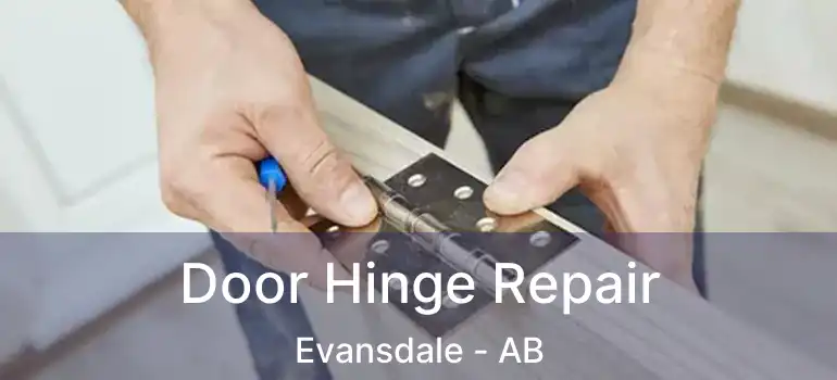  Door Hinge Repair Evansdale - AB