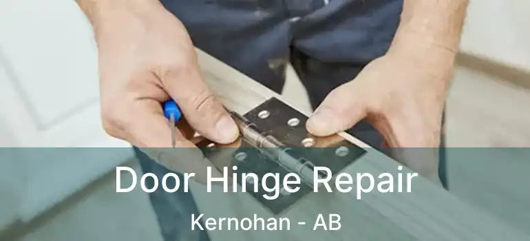  Door Hinge Repair Kernohan - AB