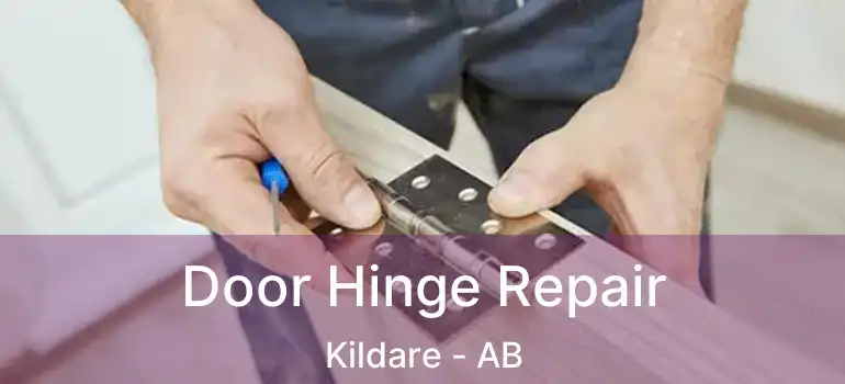  Door Hinge Repair Kildare - AB