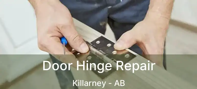  Door Hinge Repair Killarney - AB
