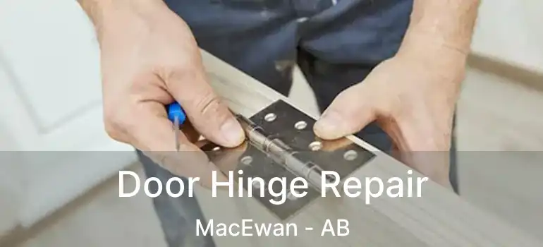  Door Hinge Repair MacEwan - AB