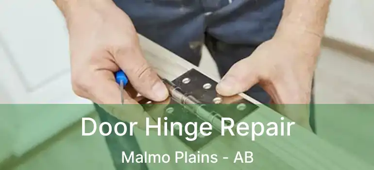  Door Hinge Repair Malmo Plains - AB