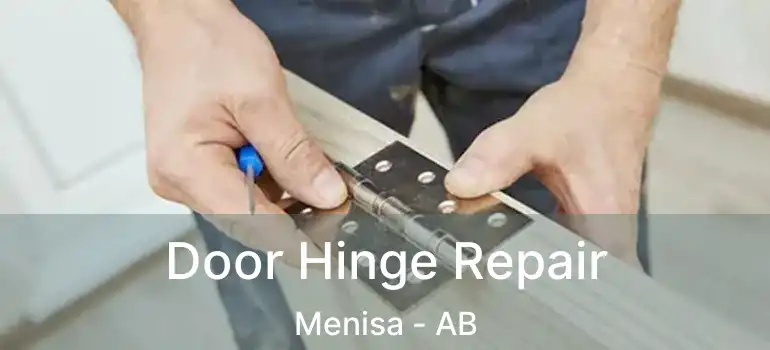  Door Hinge Repair Menisa - AB
