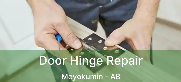  Door Hinge Repair Meyokumin - AB