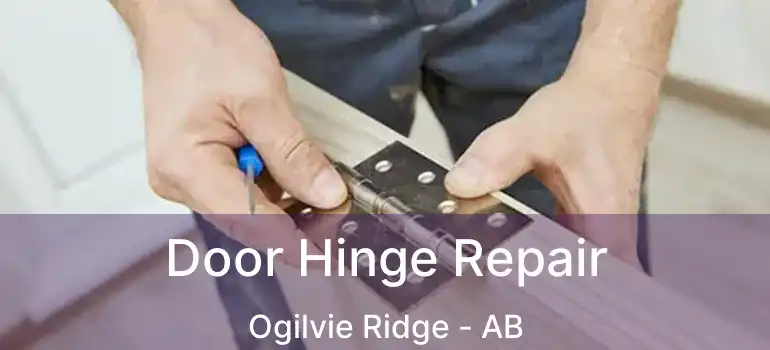  Door Hinge Repair Ogilvie Ridge - AB