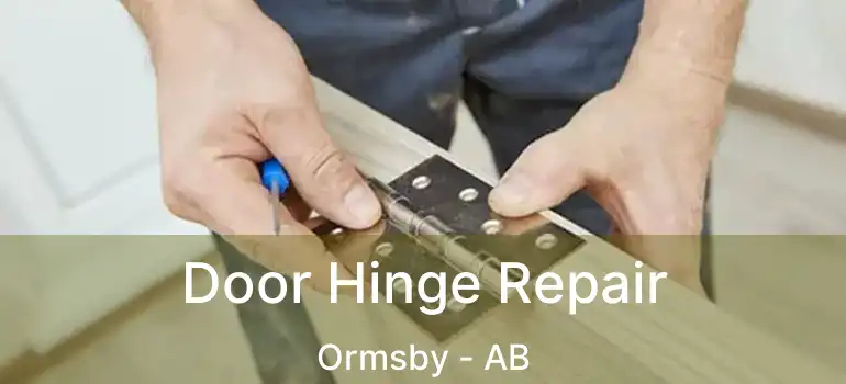  Door Hinge Repair Ormsby - AB