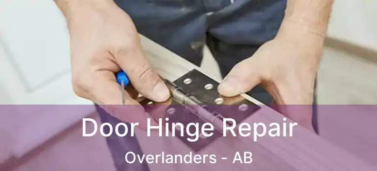  Door Hinge Repair Overlanders - AB