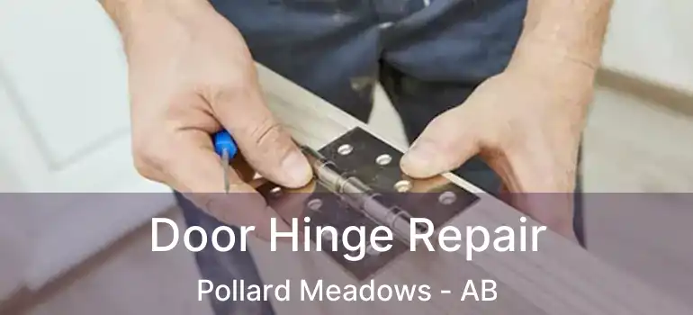  Door Hinge Repair Pollard Meadows - AB