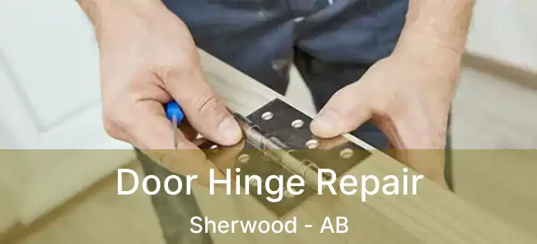  Door Hinge Repair Sherwood - AB