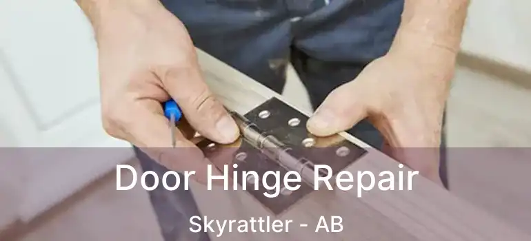  Door Hinge Repair Skyrattler - AB