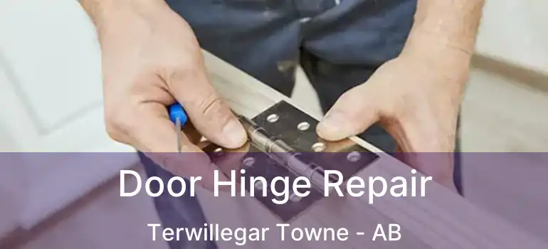  Door Hinge Repair Terwillegar Towne - AB