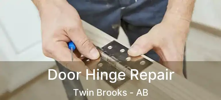  Door Hinge Repair Twin Brooks - AB