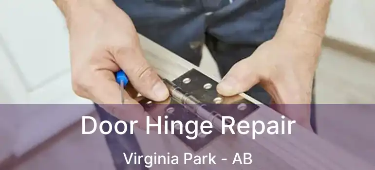  Door Hinge Repair Virginia Park - AB