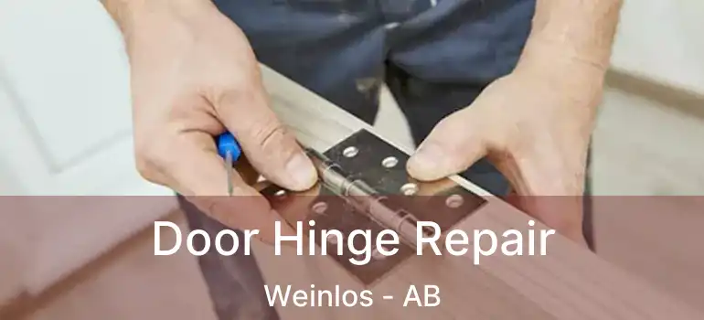  Door Hinge Repair Weinlos - AB