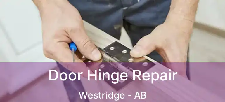  Door Hinge Repair Westridge - AB