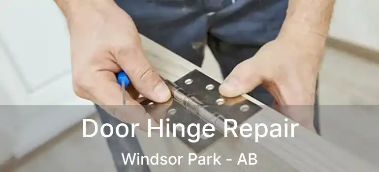  Door Hinge Repair Windsor Park - AB