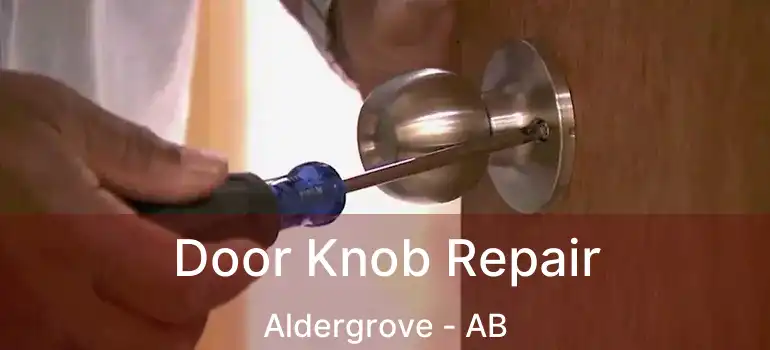  Door Knob Repair Aldergrove - AB