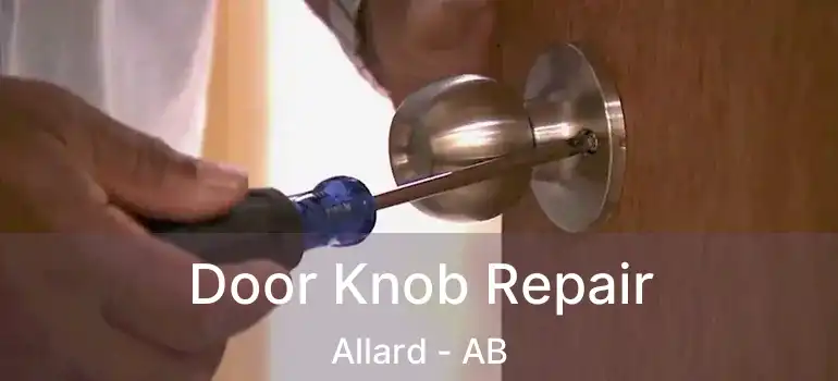  Door Knob Repair Allard - AB