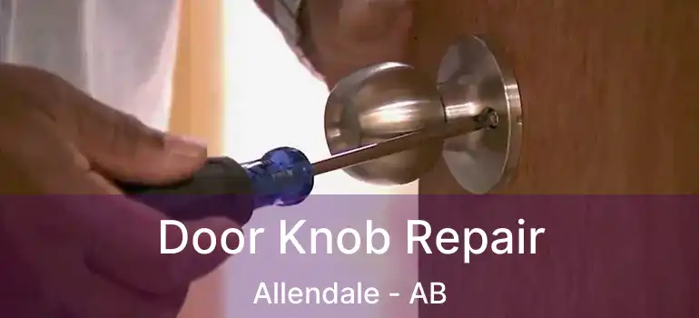  Door Knob Repair Allendale - AB