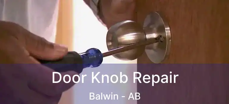  Door Knob Repair Balwin - AB