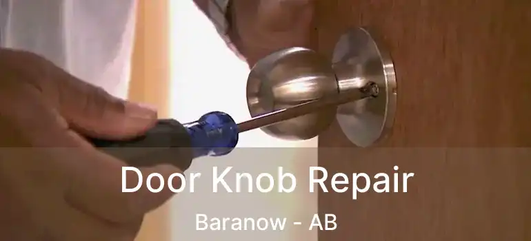  Door Knob Repair Baranow - AB
