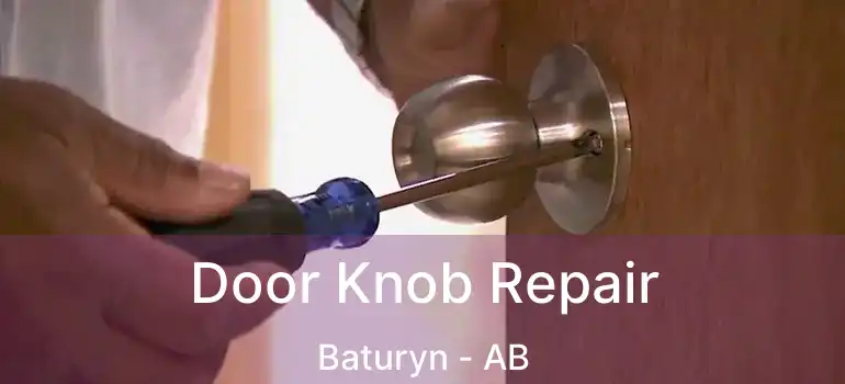  Door Knob Repair Baturyn - AB
