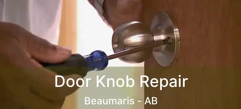  Door Knob Repair Beaumaris - AB