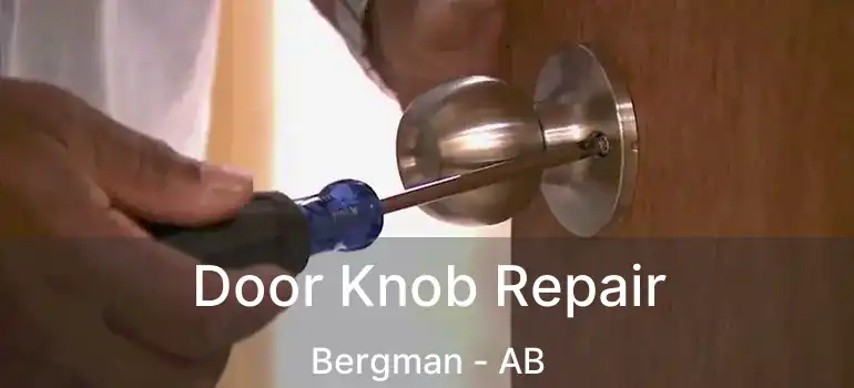  Door Knob Repair Bergman - AB