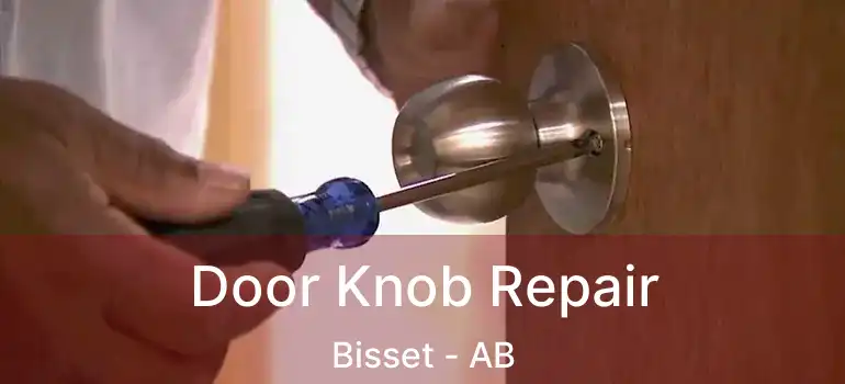 Door Knob Repair Bisset - AB