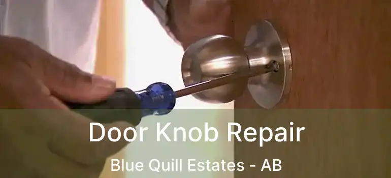  Door Knob Repair Blue Quill Estates - AB