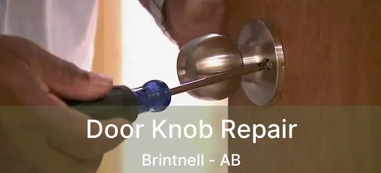 Door Knob Repair Brintnell - AB