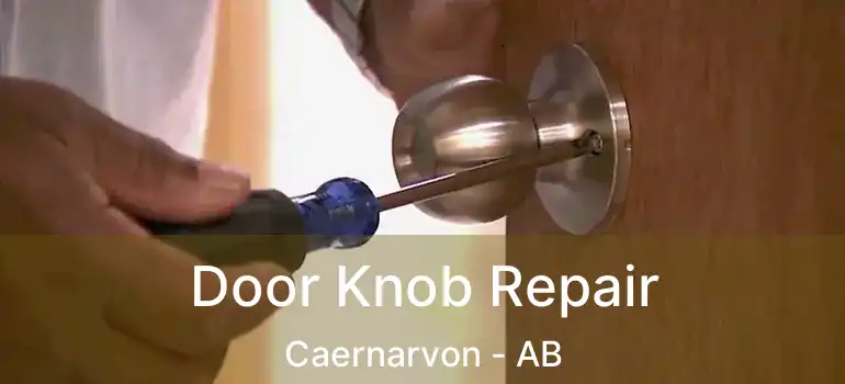  Door Knob Repair Caernarvon - AB