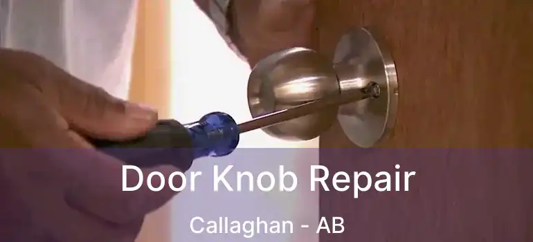  Door Knob Repair Callaghan - AB