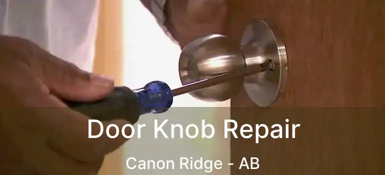  Door Knob Repair Canon Ridge - AB
