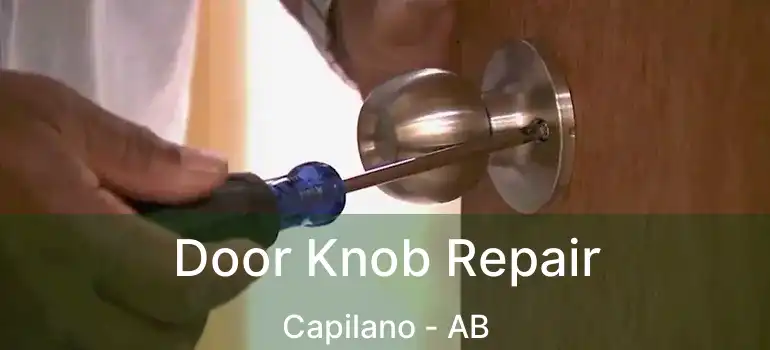  Door Knob Repair Capilano - AB