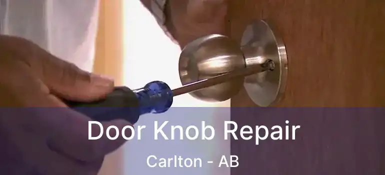  Door Knob Repair Carlton - AB