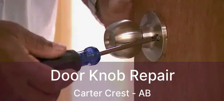  Door Knob Repair Carter Crest - AB